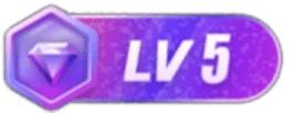 等级-LV5-搞钱项目库